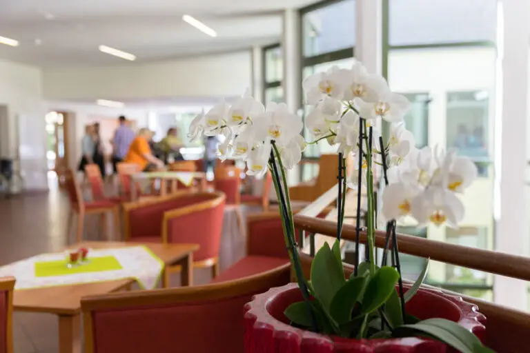Weiß blühende Orchideen im Aufenthaltsbereich des Seniorenwohnstifts.
